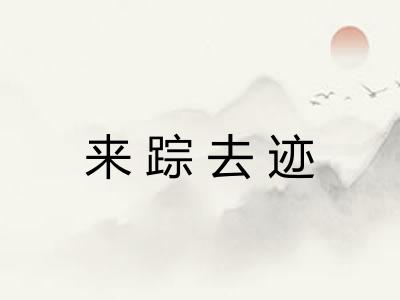 来踪去迹