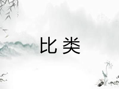 比类