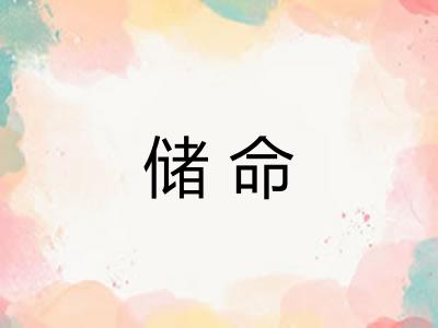 储命
