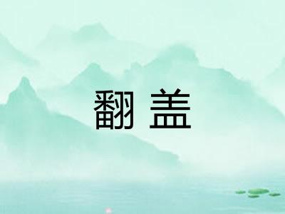 翻盖