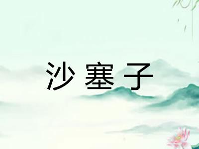 沙塞子