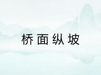 桥面纵坡