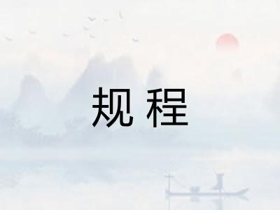 规程