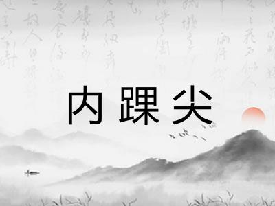 内踝尖