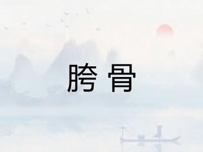 胯骨