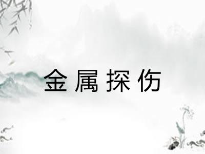 金属探伤