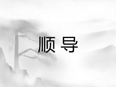 顺导