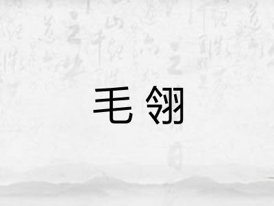 毛翎