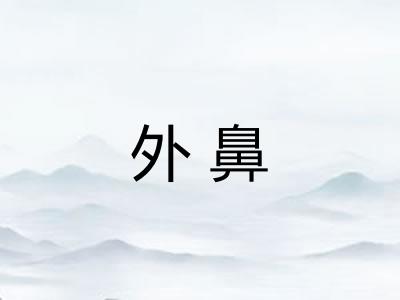 外鼻