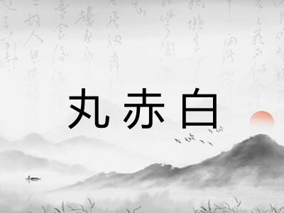 丸赤白