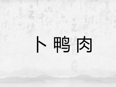 卜鸭肉