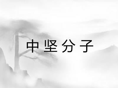 中坚分子