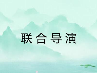 联合导演