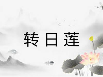 转日莲