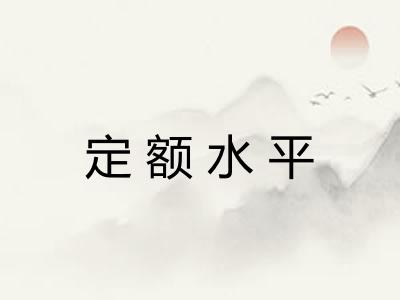 定额水平