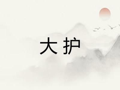 大护