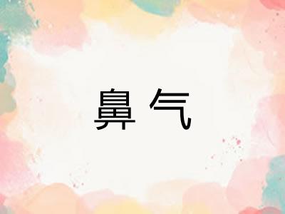 鼻气