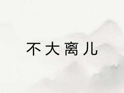 不大离儿