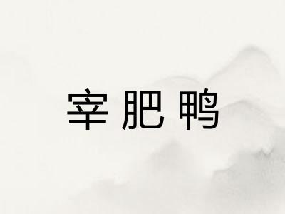 宰肥鸭