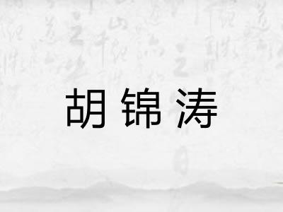 胡锦涛