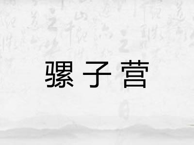 骡子营