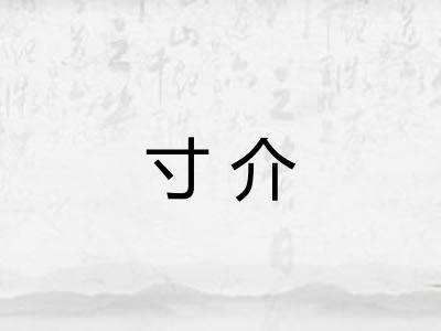 寸介