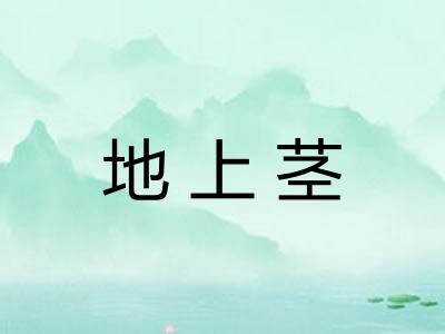 地上茎