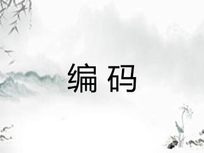 编码
