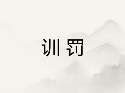 训罚