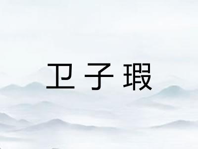 卫子瑕