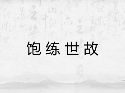 饱练世故