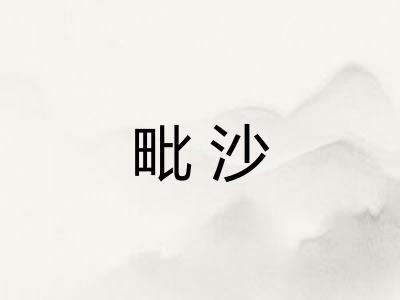 毗沙