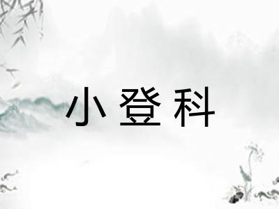 小登科