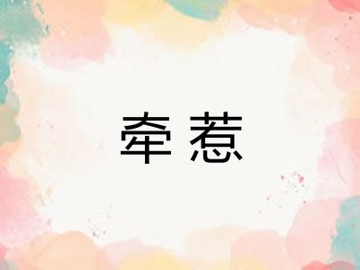 牵惹