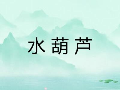 水葫芦