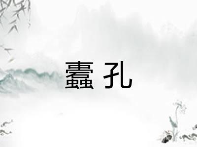 蠹孔