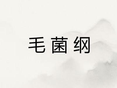 毛菌纲