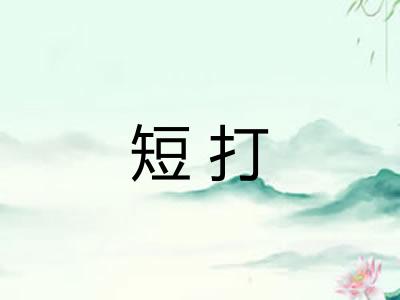 短打