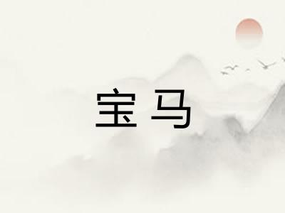宝马