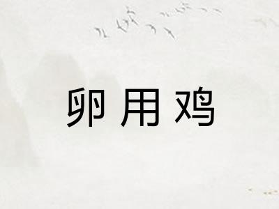 卵用鸡