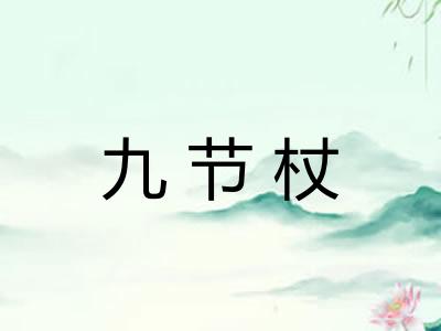 九节杖