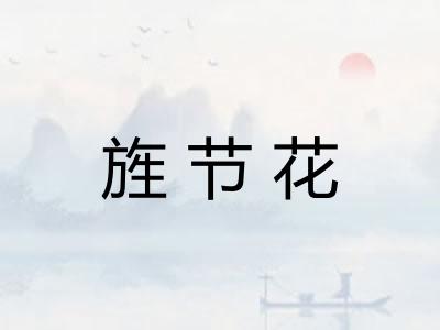旌节花