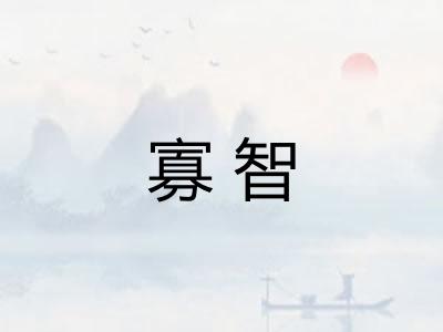 寡智