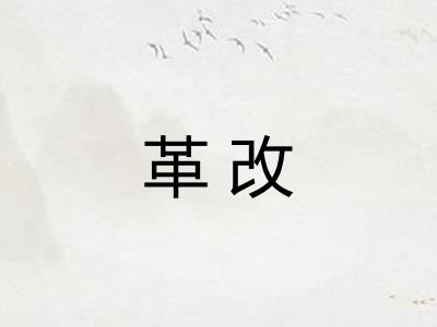 革改