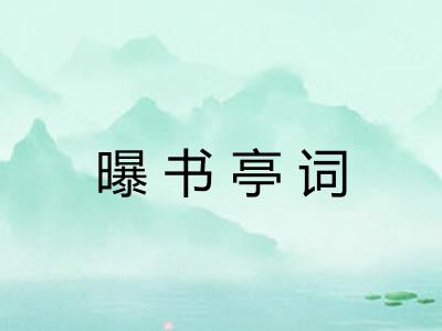 曝书亭词
