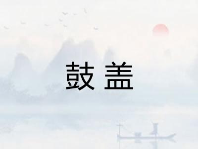 鼓盖