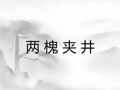 两槐夹井