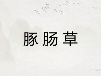 豚肠草