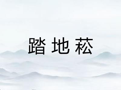 踏地菘