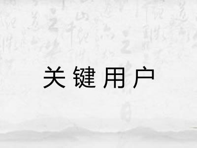 关键用户